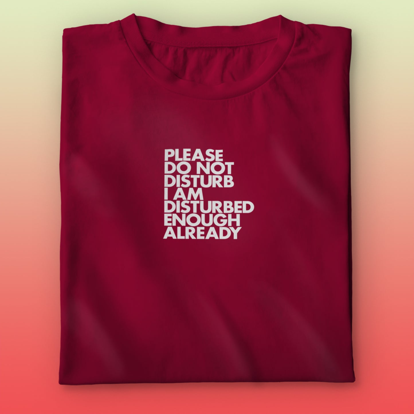 Do not Disturb T-shirt