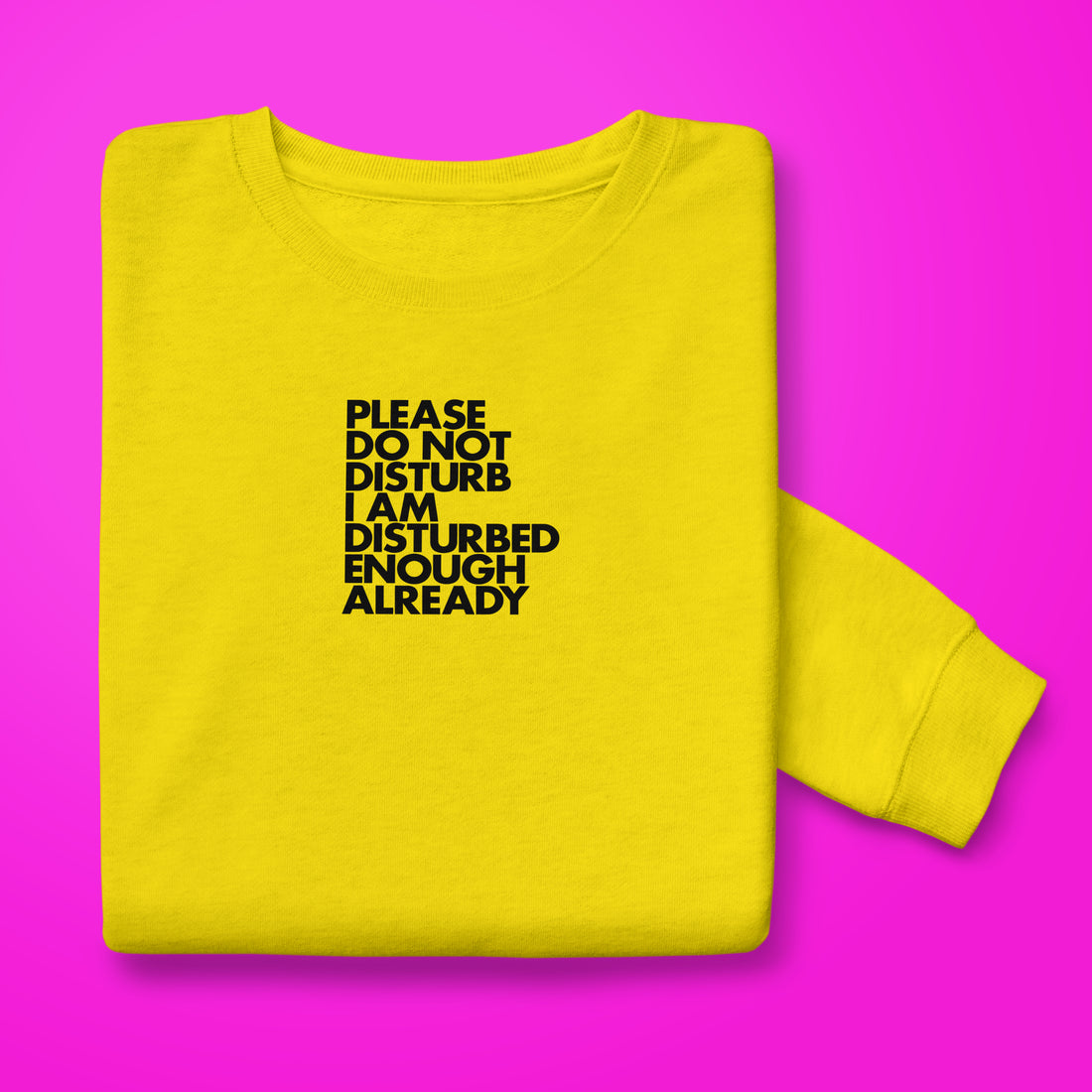 Do not Disturb Sweatshirt