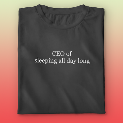 CEO of Sleeping T-shirt