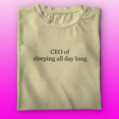 CEO of Sleeping T-shirt