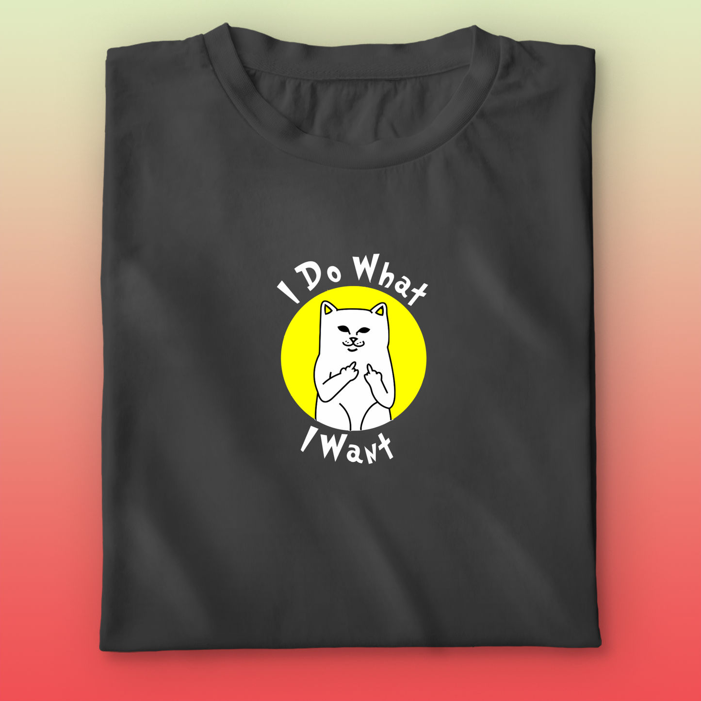 I Do What I Want T-shirt