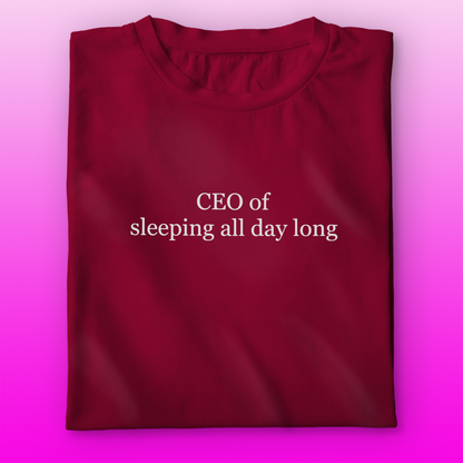 CEO of Sleeping T-shirt
