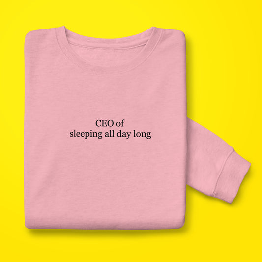 CEO of Sleeping Sweatshirt